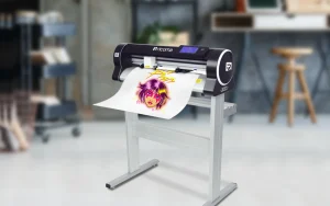 Plotter Cutting